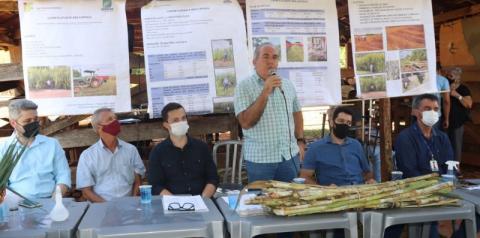 Prefeitura de Morrinhos promove primeiro Dia de Campo do BRS Capiaçu
